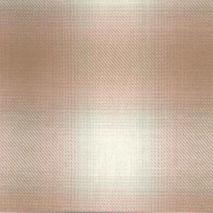 Yarn Dyed Organic Cotton Brushed Ombre Check / KYC330-W D/#1